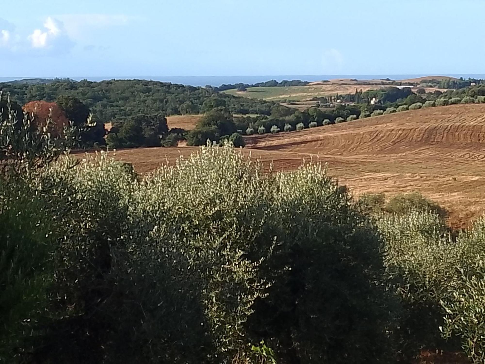 Agriturismo Le Colline Di Капальбио Экстерьер фото